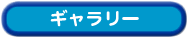 ゴミ屋敷before&afterギャラリー